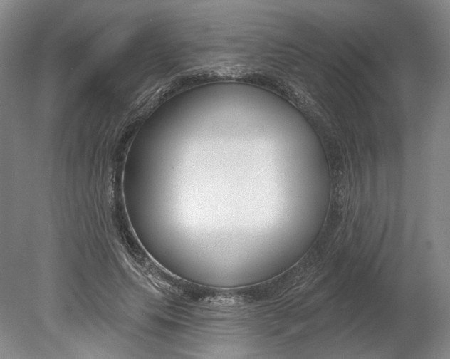 X0000080770639200701051303