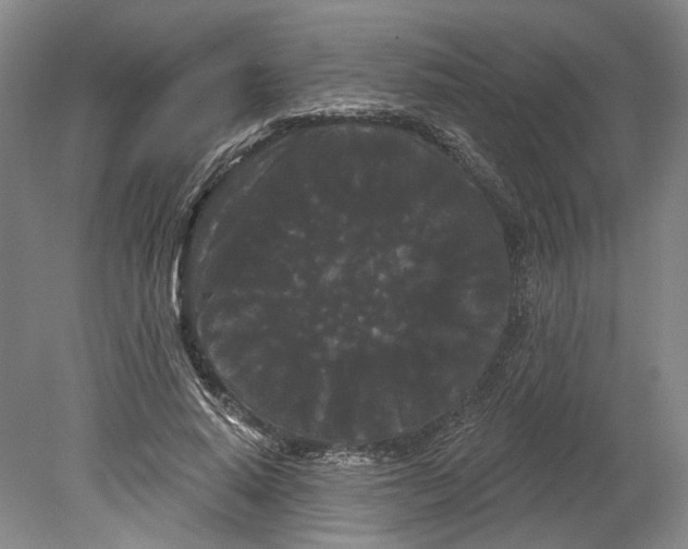 X0000080770640200701051303