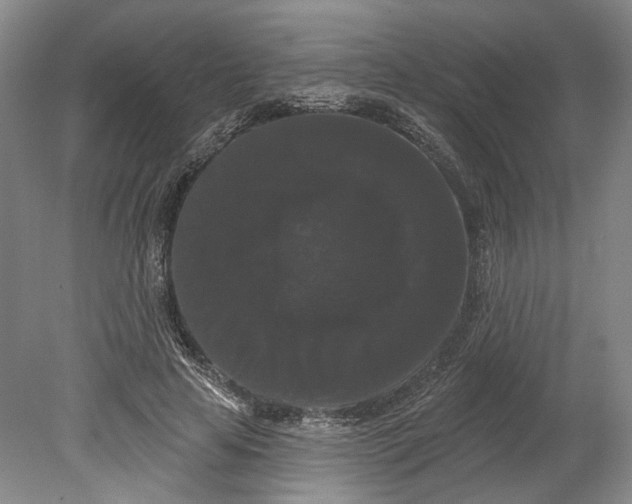 X0000080770641200701051303