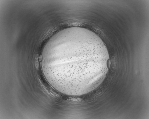 X0000080770642200701051303