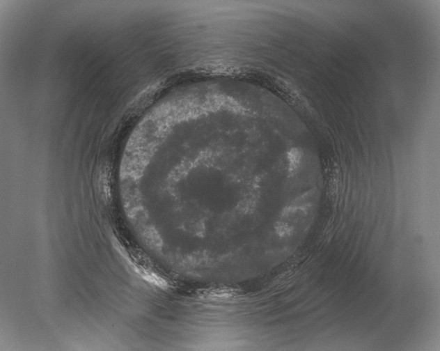 X0000080770643200701051303