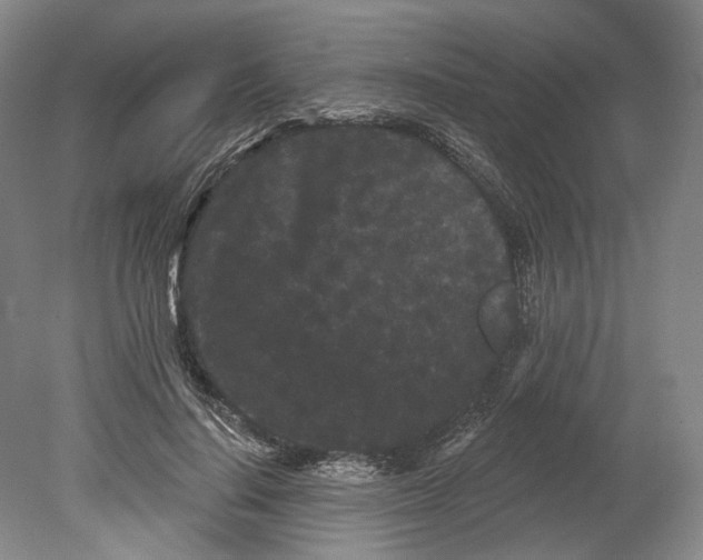 X0000080770644200701051303