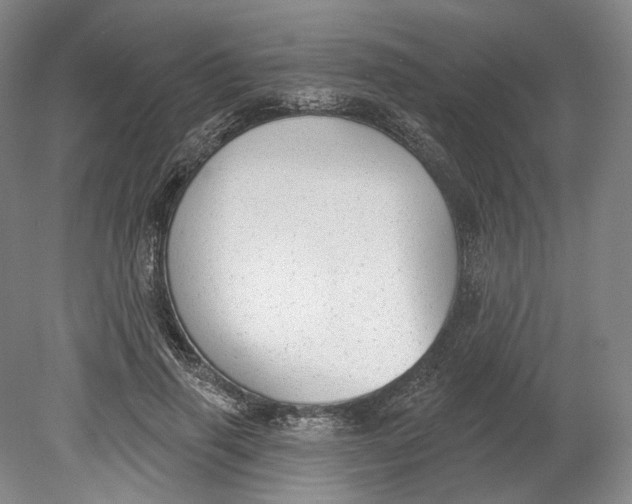 X0000080770645200701051303