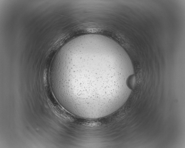 X0000080770646200701051303