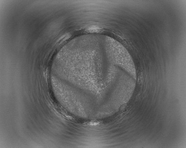 X0000080770647200701051303