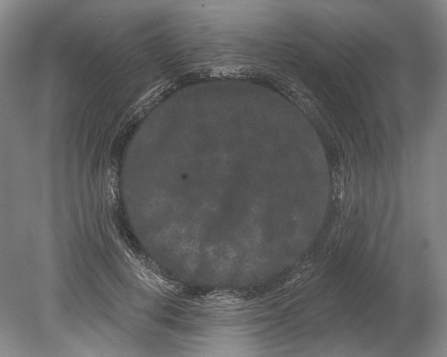 X0000080770648200701051303