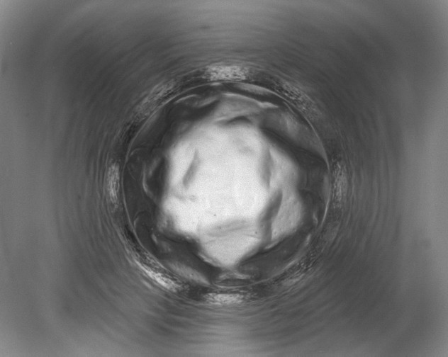 X0000080770649200701051303