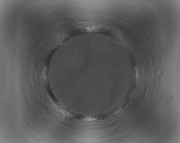 X0000080770650200701051303