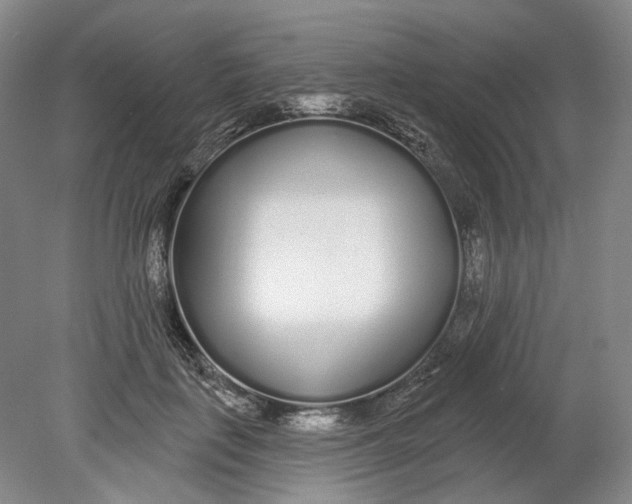 X0000080770651200701051303