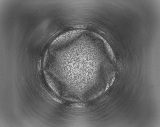 X0000080770652200701051303