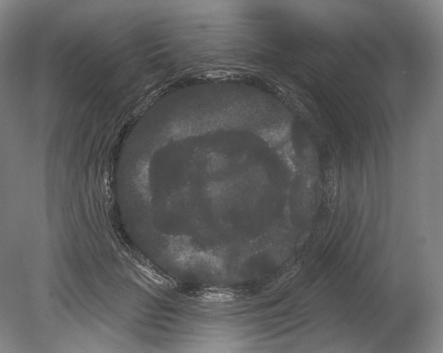 X0000080770653200701051303