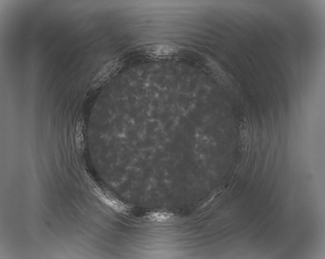 X0000080770654200701051303