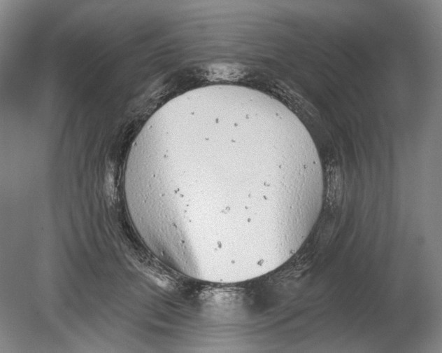 X0000080770655200701051303