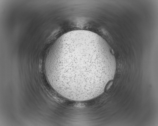 X0000080770656200701051303