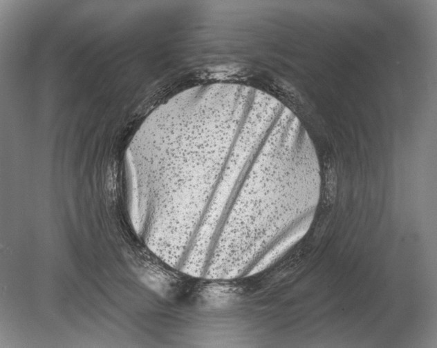 X0000080770657200701051303