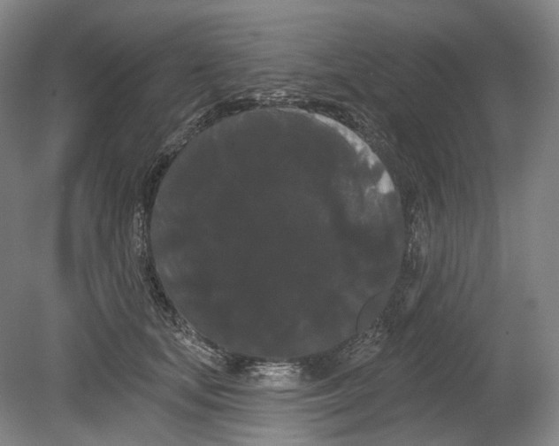 X0000080770659200701051303