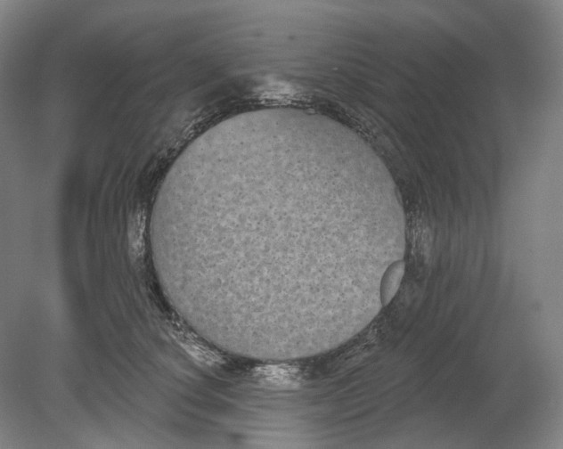 X0000080770660200701051303