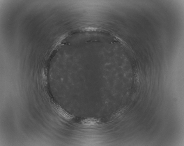 X0000080770661200701051303