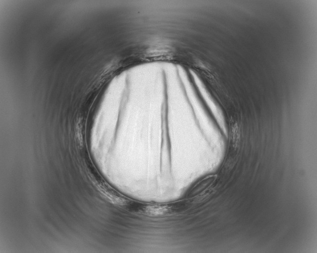 X0000080770662200701051303