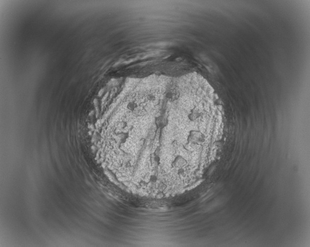 X0000080770663200701051303