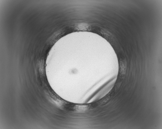 X0000080770665200701051303