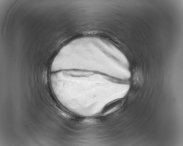 X0000080770668200701051303