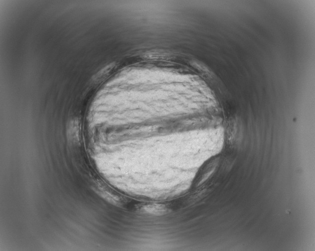 X0000080770669200701051303