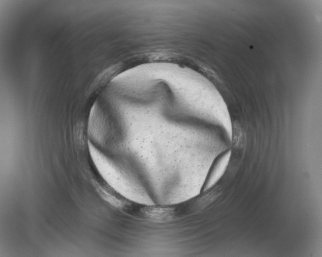 X0000080770670200701051303