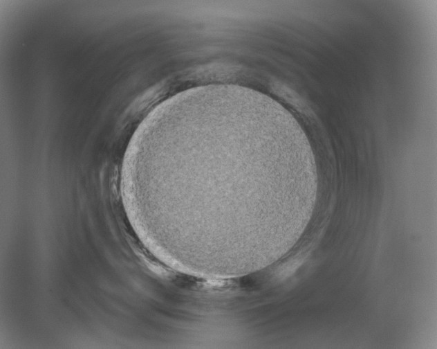 X0000080770672200701051303