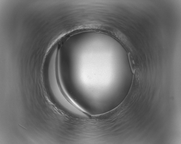 X0000080770676200701051302