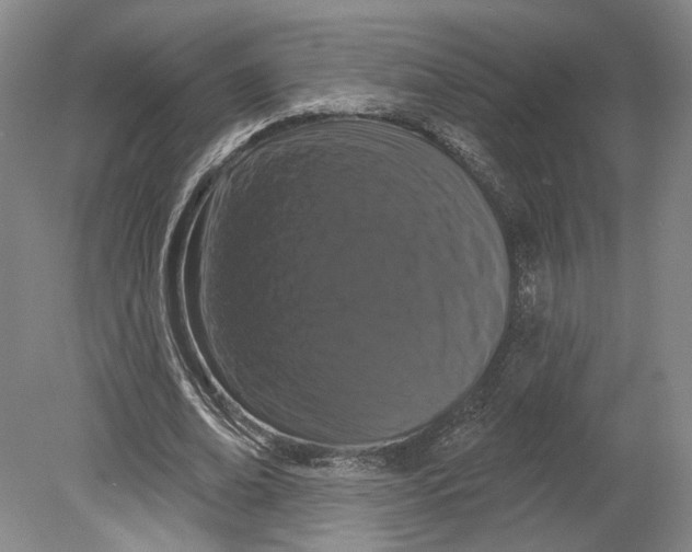 X0000080770678200701051302