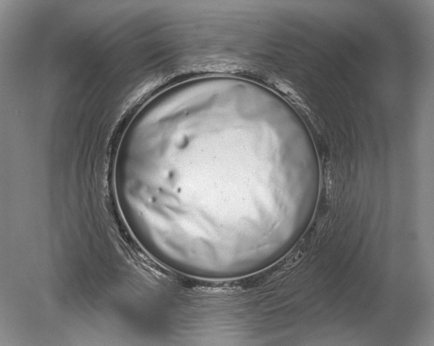 X0000080770679200701051302