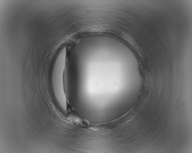 X0000080770681200701051302