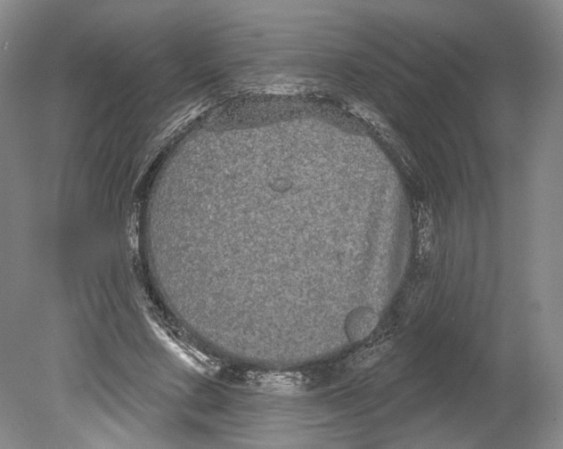 X0000080770683200701051302