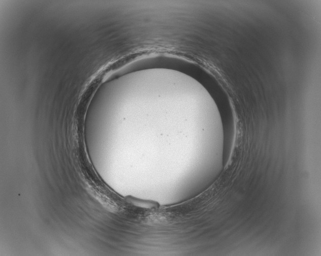 X0000080770684200701051302