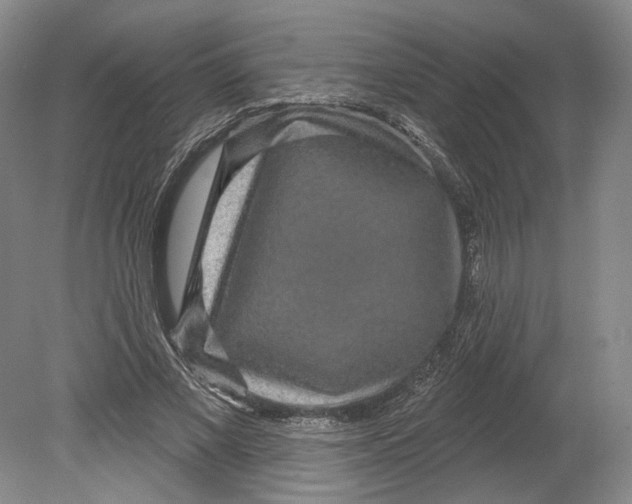 X0000080770685200701051302