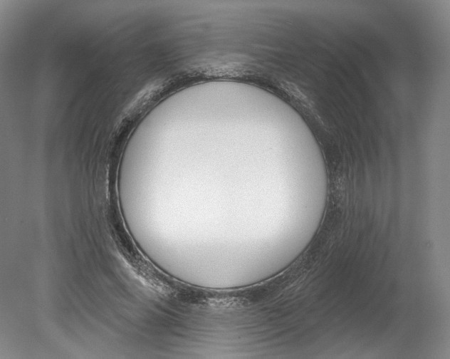 X0000080770686200701051302