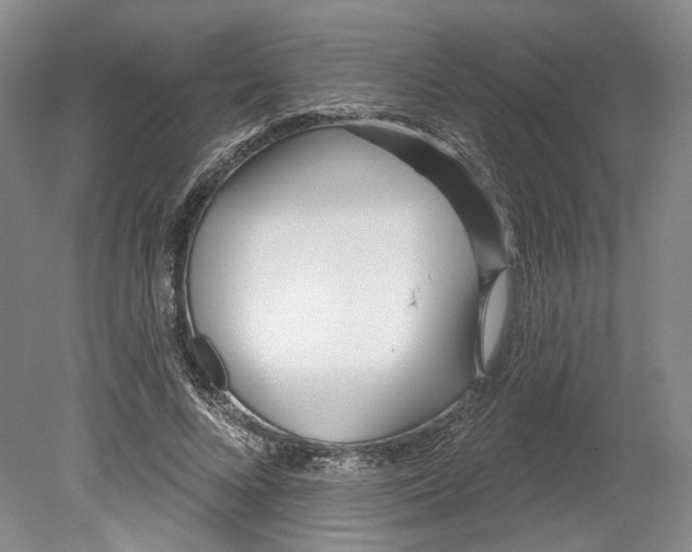 X0000080770688200701051302