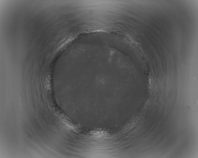 X0000080770689200701051302