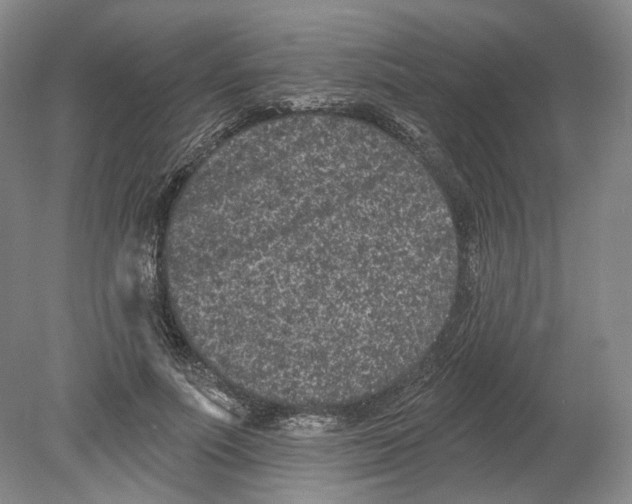 X0000080770691200701051302