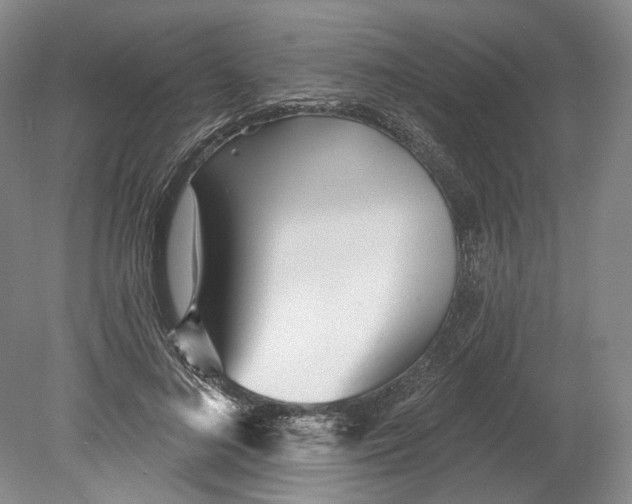 X0000080770692200701051302