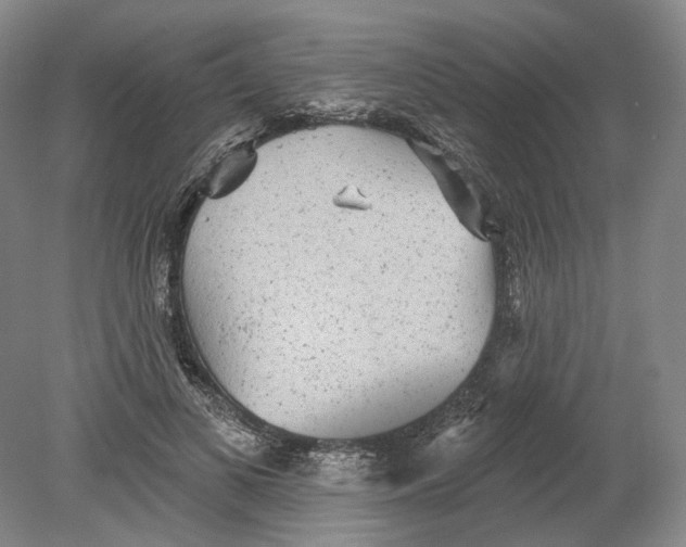 X0000080770693200701051302