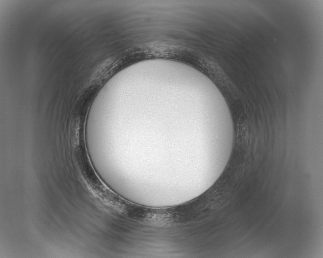 X0000080770694200701051302