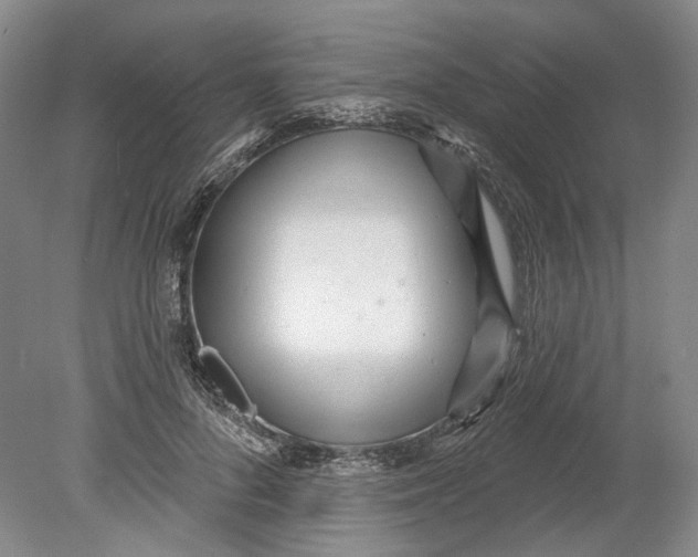 X0000080770696200701051302