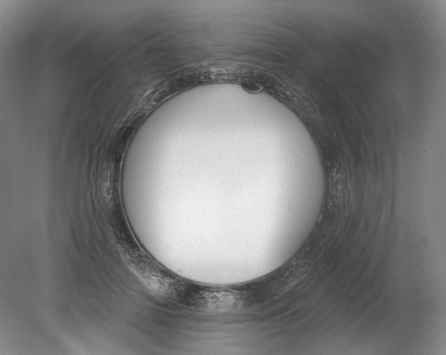 X0000080770698200701051302