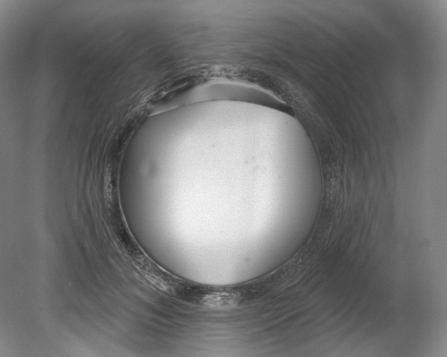 X0000080770700200701051302