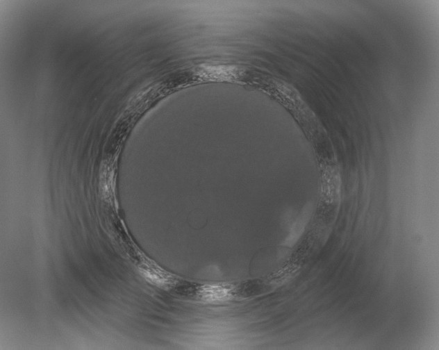 X0000080770701200701051302