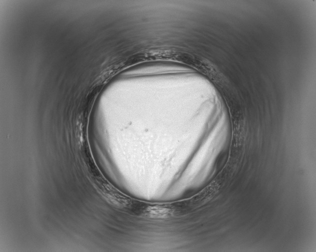 X0000080770703200701051302