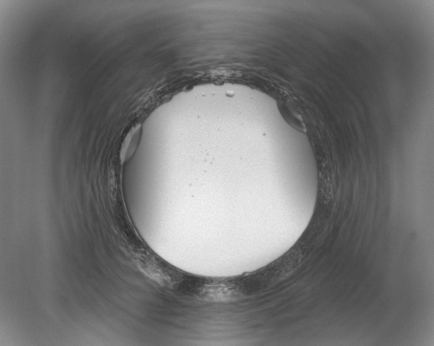 X0000080770704200701051302