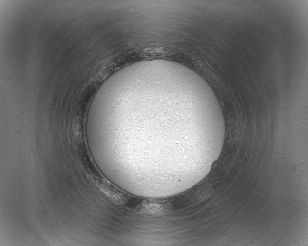 X0000080770706200701051302